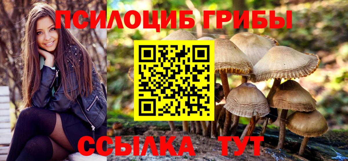 Галлюциногенные грибы Magic Shrooms  Вход с VPN  Кимры  продажа наркотиков  Псилоцибиновые грибы Psilocybine cubensis 