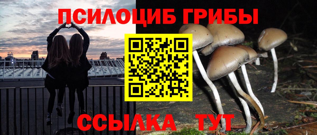 Псилоцибиновые грибы GOLDEN TEACHER Кимры